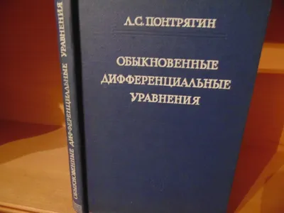 Презентация открытого урока по математике на тему \"Интересные факты из  жизни великих математиков\" (6 класс)