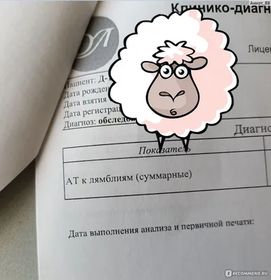 Анализ крови на лямблии и токсокары - «Зачем необходимо проверяться на  паразитов? Что такое лямблиоз? Как подготовиться к анализу? Так же расскажу  какие дополнительные анализы могут понадобиться» | отзывы