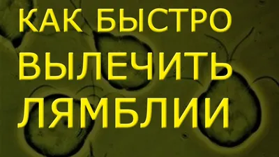 Как быстро вылечить лямблии в домашних условиях. Лечение лямблиоза и  описторхоза с Биомедис М - YouTube