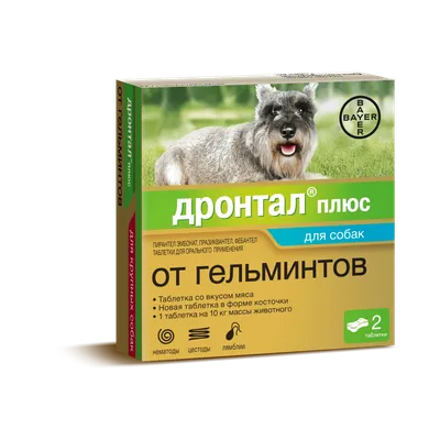 🥇511 р. – Bayer Дронтал плюс таблетки от глистов со вкусом мяса для щенков  и собак, 2 таблетки купить в Калининграде с доставкой 🐈  Интернет-зоомагазин «КАТИКО»