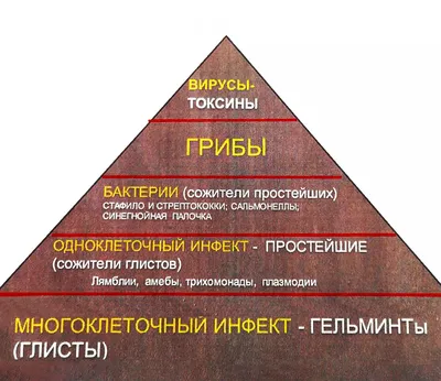 Как узнать, есть ли у меня паразиты? - topdoc.me, медицинские статьи и  блоги в Алматы