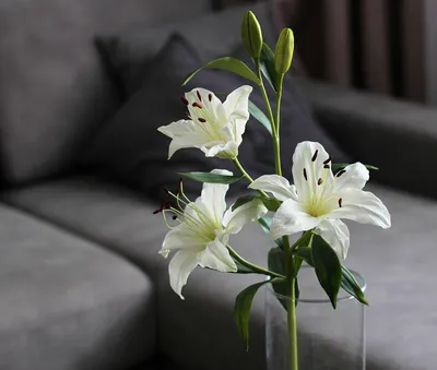 Белые лилии из холодного фарфора – заказать на Ярмарке Мастеров – RE9FQRU |  Букеты, Москва