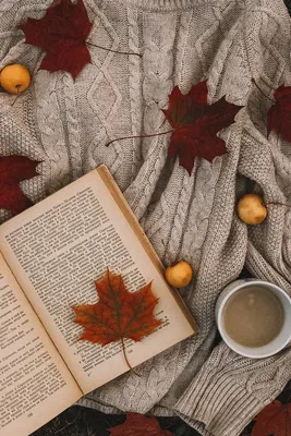 Pin by Лина on Личное | Fall wallpaper, Autumn magic, Autumn photography