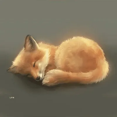 лис :: animals :: fox :: живность :: Наелся и спит :: fandoms :: фэндомы /  картинки, гифки, прикольные комиксы, интересные статьи по теме.