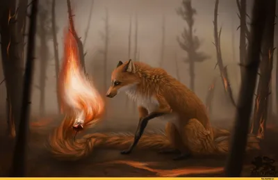 fox art :: Лиса арт :: :: :: Лиса :: лес :: Fantasy (Fantasy art) ::  красивые картинки :: fox :: nature :: fantasy :: дух леса :: Природа  (красивые фото природы: