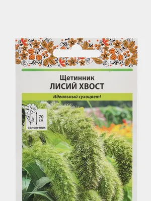 50 стеблей китайский pennisetum трава свадебный цветок пучок лисий хвост  собачья хвост натуральный домашние декоративные растения Цветок | AliExpress