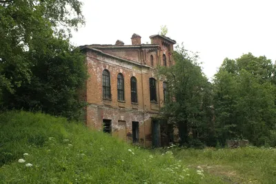 Пляж Лисий Нос, Санкт-Петербург | Пляж, Пейзажная фотография, Санкт  петербург