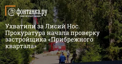 Жилой комплекс Лисий Нос Green от официального застройщика Вилларосси - Лисий  Нос п, Большой проспект, 24 - цены, квартиры и планировки