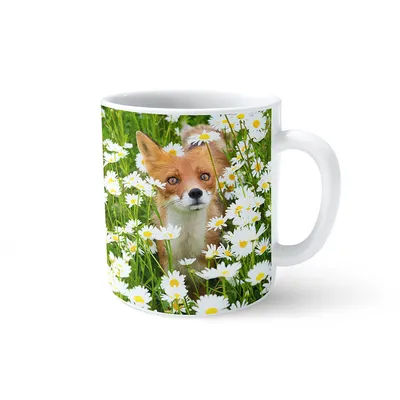 Собака и лиса стоковое фото. изображение насчитывающей цветок - 40917206