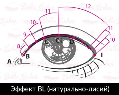 Путешествие на остров Лисий