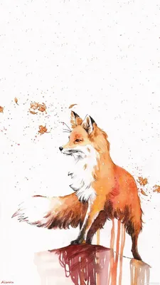 Животные, #Лисы, #аватары, #картинки, #фото, #авы,  https://avatarko.ru/kartinka/32922 | Cute animal drawings, Fox  illustration, Fox painting
