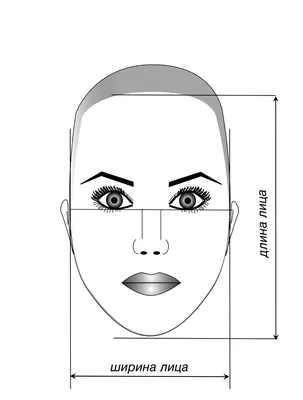 Лицо. Часть 2. Формы лица.