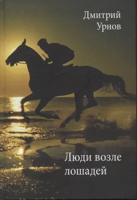 человек на лошади в лесу стоковое изображение. изображение насчитывающей  катание - 222233845