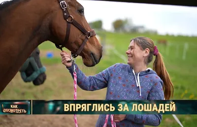 Вечерний пейзаж - Крестьяне и люди на лошадях (картина) — Томас Гейнсборо