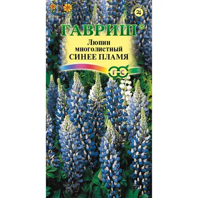 Купить Люпин Синее пламя 0,5гр недорого по цене 24руб.|Garden-zoo.ru