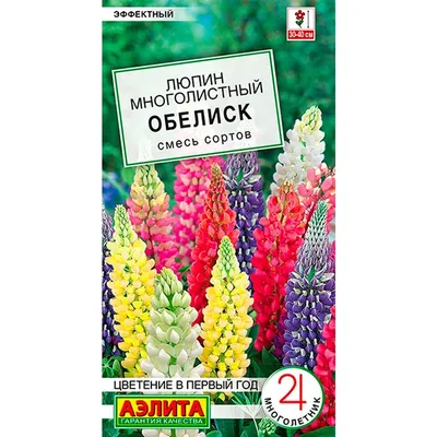 Купить Люпин Обелиск недорого по цене 96руб.|Garden-zoo.ru