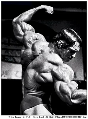 Арнольд Шварценеггер (Arnold Schwarzenegger), Мистер Олимпия 1974 года,  фотографии, биография, соревнования, бодибилдинг