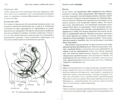 Planta Беговая дорожка TM-500