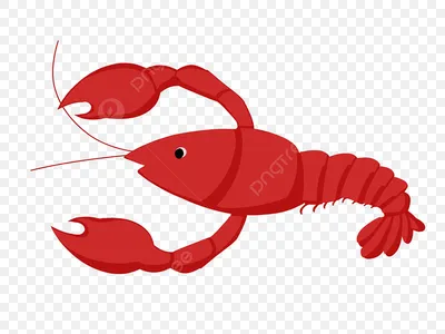 Cute Lobster Red Lobster A Lobster Lobster PNG , омар клипарт, милый лобстер,  красный лобстер PNG картинки и пнг PSD рисунок для бесплатной загрузки