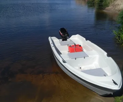 Watch: Large shark leaps onto fishing boat: 'It was crazy!'