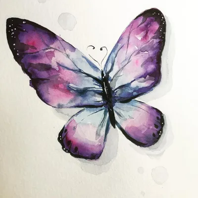 Картинки по запросу скетчи бабочки | Butterfly watercolor, Watercolor,  Butterfly art