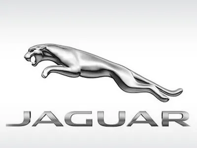 Компания Jaguar изменила логотип — Motor