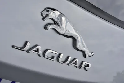 Обои на рабочий стол Логотип jaguar на темном фоне, обои для рабочего  стола, скачать обои, обои бесплатно