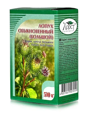 Лопух обыкновенный (большой) 50гр купить в Москве в одном из наших  магазинов или с бесплатной доставкой по Москве в интернет-магазине по  низкой цене. Рецепты, применение, отзывы.