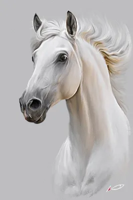 Портреты лошадей | Horse painting, Horses, Horse drawings