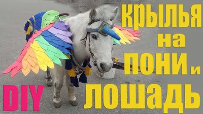 Белый Пегас Конь С Крыльями. Векторное Изображение Клипарты, SVG, векторы,  и Набор Иллюстраций Без Оплаты Отчислений. Image 22473219