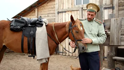 Как \"подогнать\"любое седло к любой лошади | Интересно о лошадях | Дзен