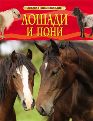 Игровой набор JN689-18 Лошадь и пони с аксессуарами купить в Барнауле -  интернет магазин Rich Family