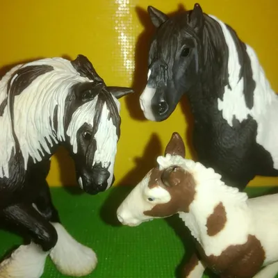 Купить фигурка лошадки Schleich Жеребенок породы тинкер 13774, цены на  Мегамаркет