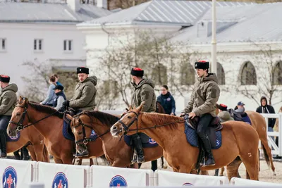 Прыгающая лошадь с наездником