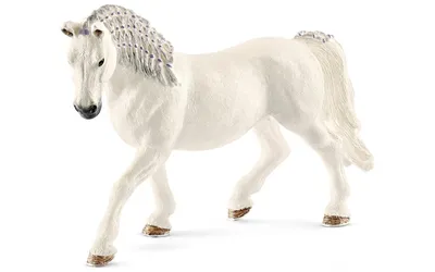 SCHLEICH Игрушка-фигурка Лошадь пинтабиан купить в интернет магазине с  доставкой по Украине | MYplay