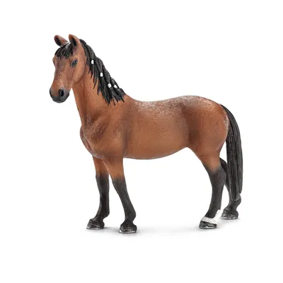 Игрушка Шляйх фигурка Липпицианская лошадь, Schleich (13819) - купить в  Украине на Profi-Toys.com.ua