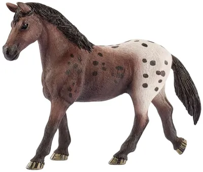 Фигурки Schleich Horse Club - Игровой набор Шляйх Конный экипаж - Коневоз -  Лошади 42619 купить в Москве | Доставка по России.