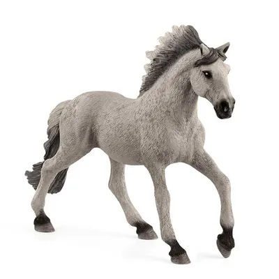 Schleich 42438 Мойка для лошадей с Эмили и Луной - купить с доставкой по  выгодным ценам в интернет-магазине OZON (293232831)