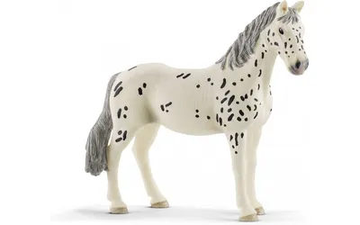 Фигурка Лошадь Скалистых гор, лошадиное шоу 42469, Schleich - Купить в  Украине | БАВА