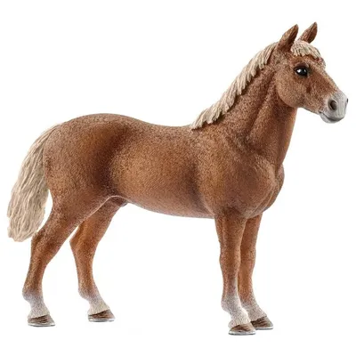 Набор Schleich Конный дружеский турнир 42440 от Schleich за 16 029 руб.  Купить в официальном магазине Schleich