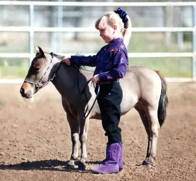 Разведение и селекция лошадей | EquiLife.ru - Первый Конный журнал online