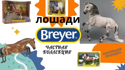 лошади #breyer #modelhorse #horse #breyerhorse #breyers #рек | TikTok