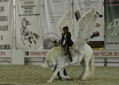 Модели лошадей BREYER, лошади, амуниция, аксессуары брейер,