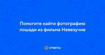 Хорошая история которая плохо закончилась | Особенные лошади Владиславы  Ахметшиной | Дзен