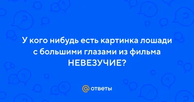 Немецкая Школа Радиологии Лошадей, г. Санкт-Петербург, ФОРСАЙД