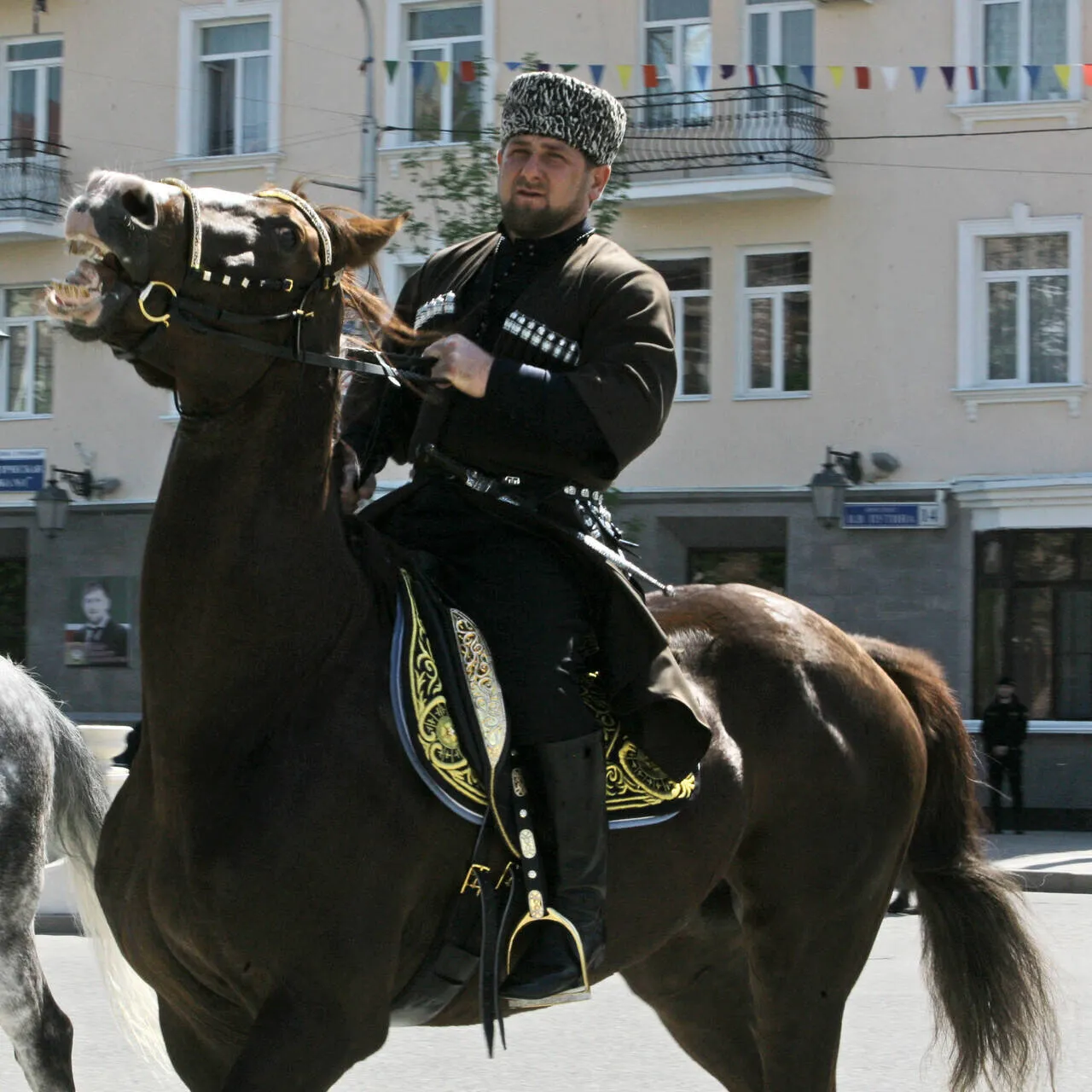 Рамзан Кадыров джигит. Лошади Рамзана Кадырова. Рамзан Кадыров на коне. Рамзан Кадыров на лошади. Лошадь кадырова