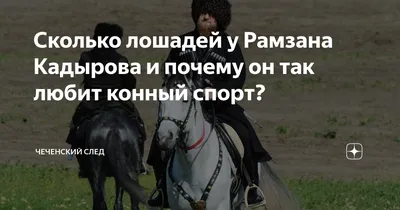 Кадыров заявил о похищении его коня в Чехии по его заказу с помощью  украинских спецслужб