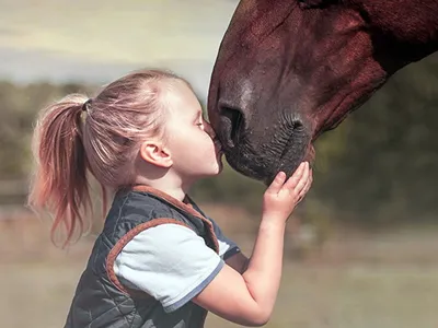 Cheval (Лимитированная серия на 1000 пред.) Статуэтка \"Любовь лошадей -  янтарный, серый, зеленый\" 45см - Daum 03197 Купить в Москве, по фабричной  цене! - Exclusive Farfor