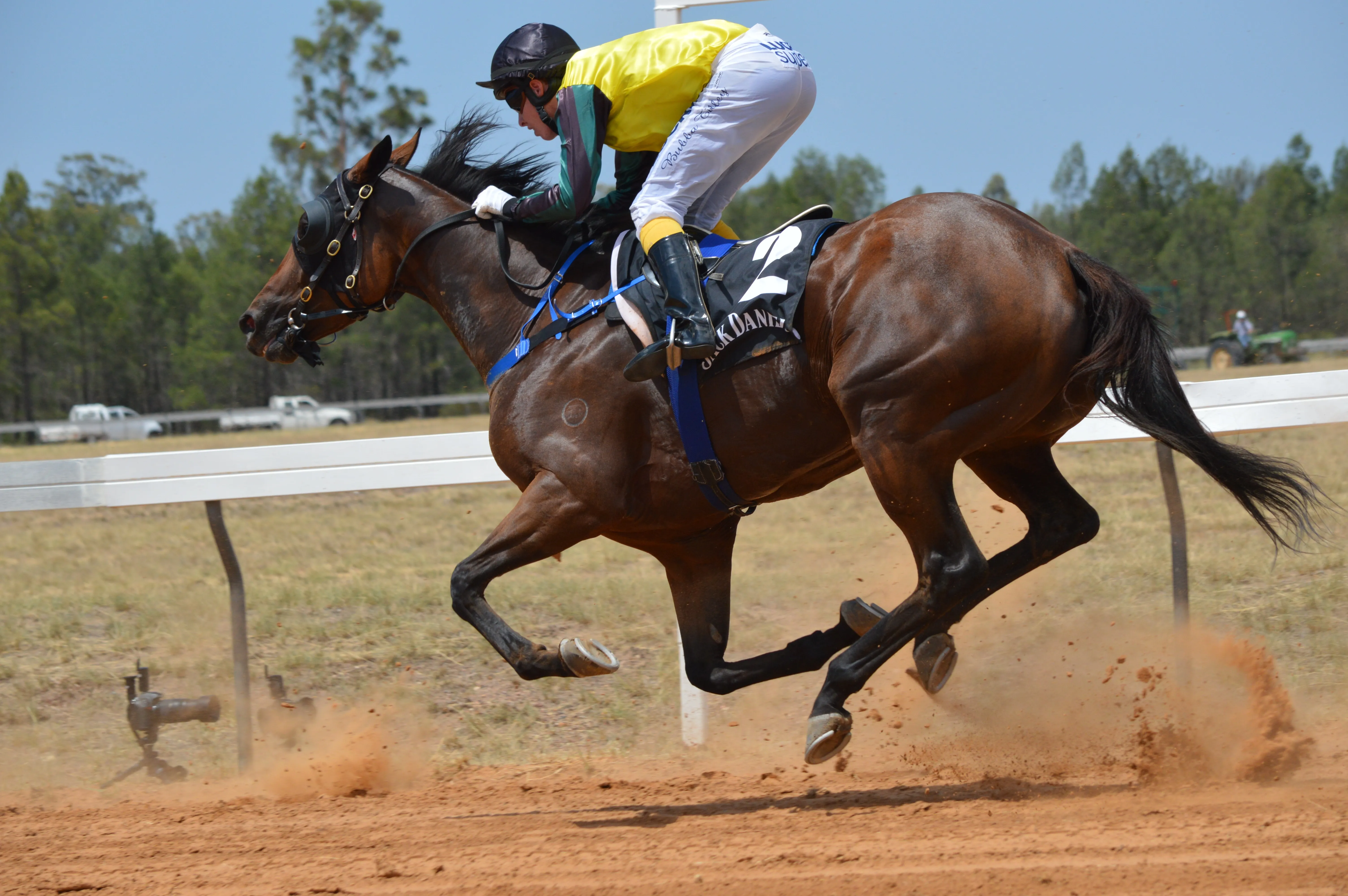 Sports horse racing. Скаковые породы лошадей. Жокей конный спорт. Скаковая лошадь. Спортивные лошади.