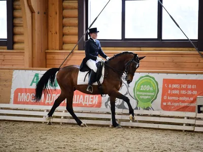 Лошадь - это поэзия в движении.🐎 📸 @z1_photograph ⠀ #жылқы #тұлпар  #алматы #ат #қазақ #бәйге #алаш #қасиет #алматы #конныймир #лошади… |  Instagram